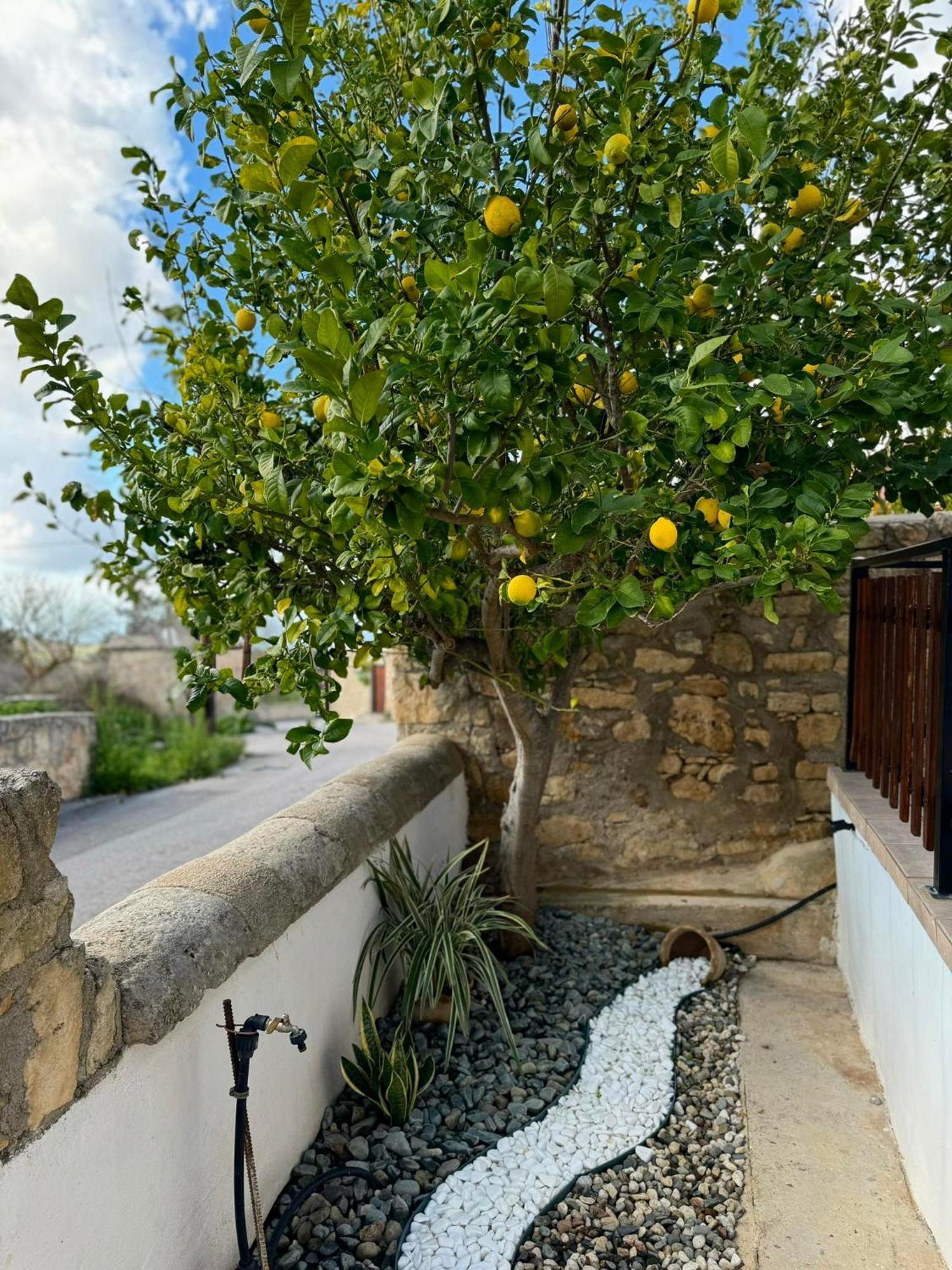 Mariarodes House Villa Pano Arodes Esterno foto